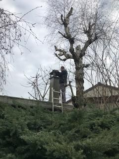 Inspection de cheminée - Vue du toit